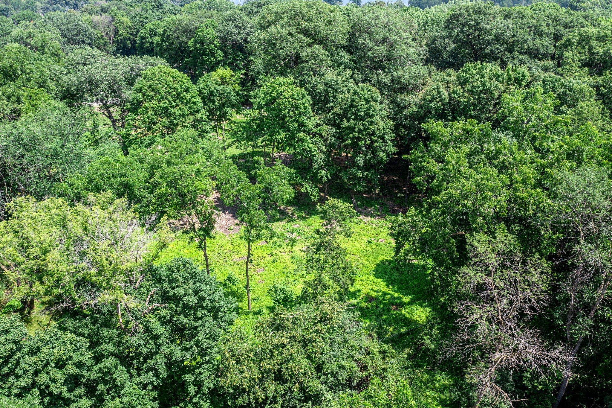 Xxx Glen Road Shorewood, MN 55331 - Photo 6 of 14