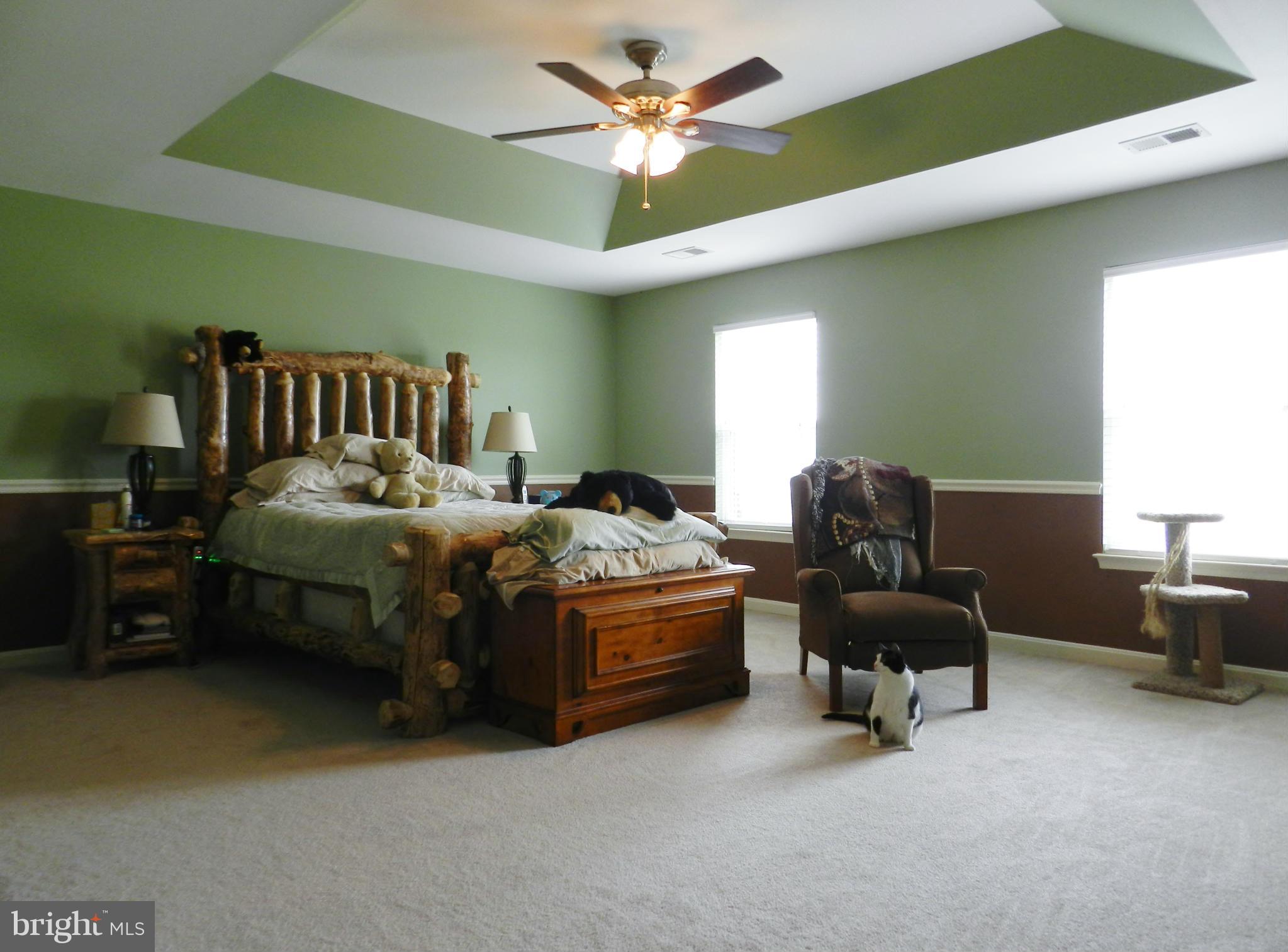 845 Autumn Ridge Road Culpeper, VA 22701 - Photo 15 of 30 Bedroom (Master)