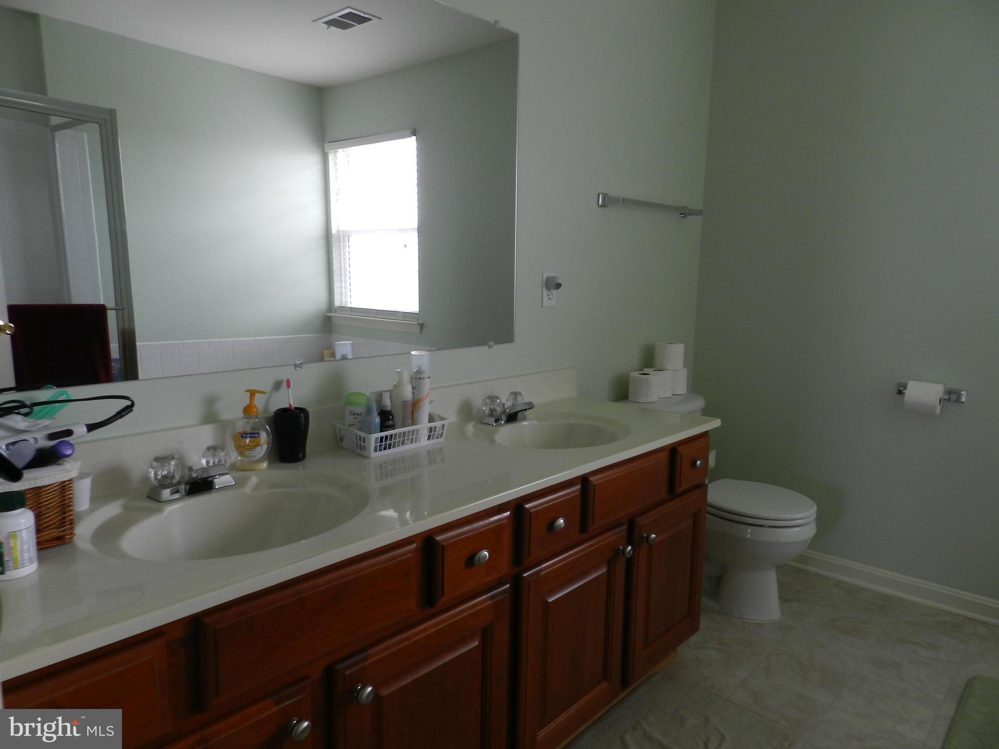 845 Autumn Ridge Road Culpeper, VA 22701 - Photo 17 of 30 Bath (Master)