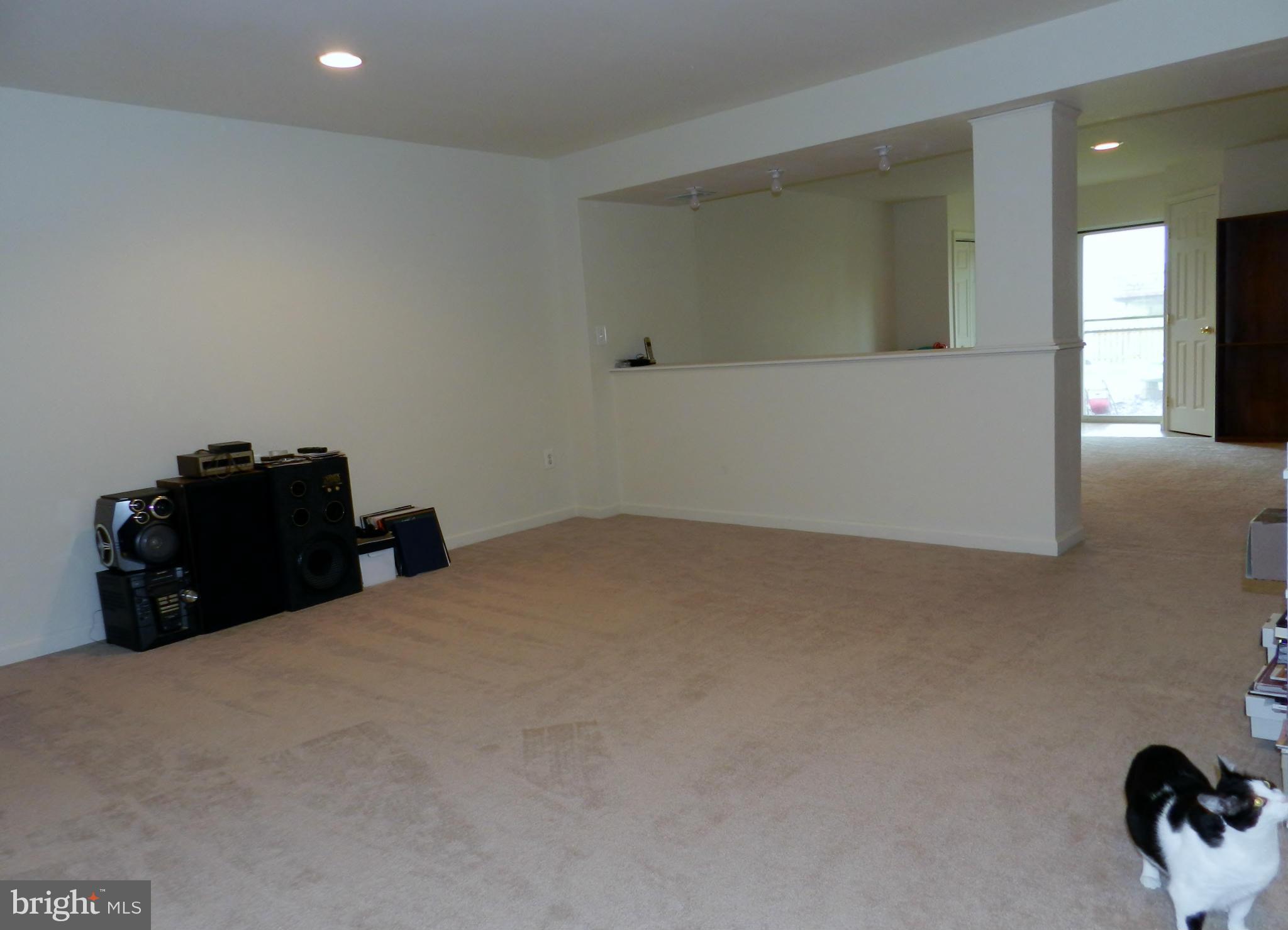 845 Autumn Ridge Road Culpeper, VA 22701 - Photo 22 of 30 Basement