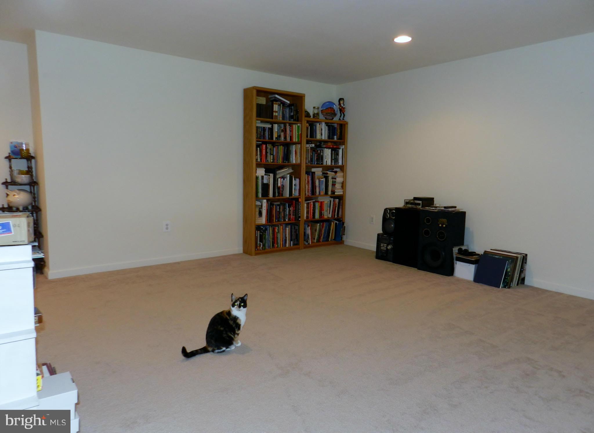 845 Autumn Ridge Road Culpeper, VA 22701 - Photo 26 of 30 Basement