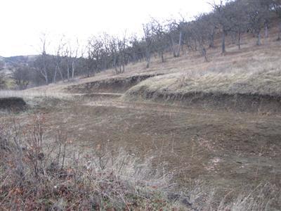 2005 Butler Creek Road Ashland, OR 97520 - Photo 12 of 15 a view of a dry yard with trees in the background
