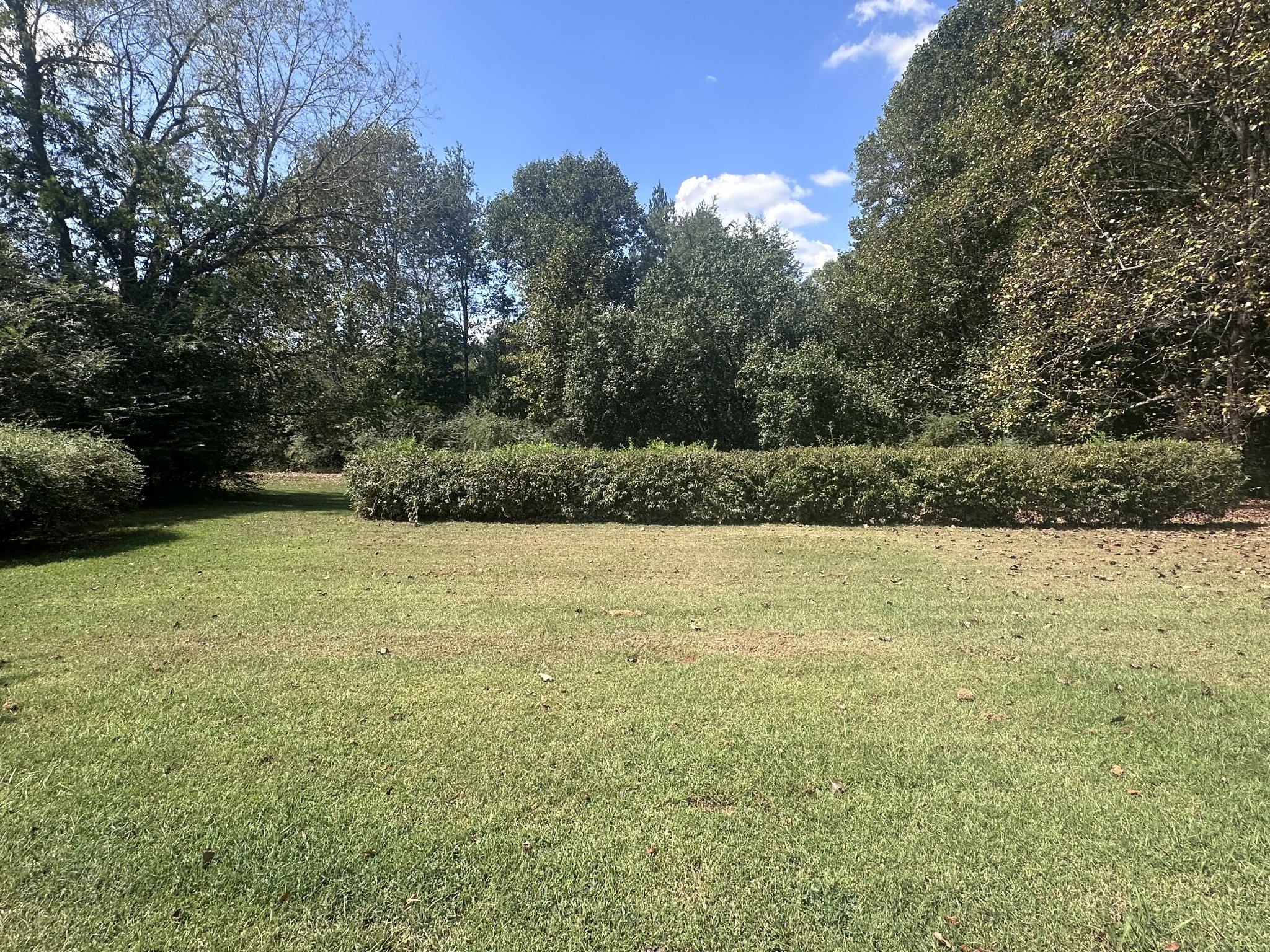 91 Lambs Ferry Road Loretto, TN 38469 - Photo 17 of 32 Gallery Image 17