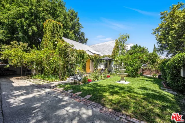 a view of a big yard with plants and large trees
