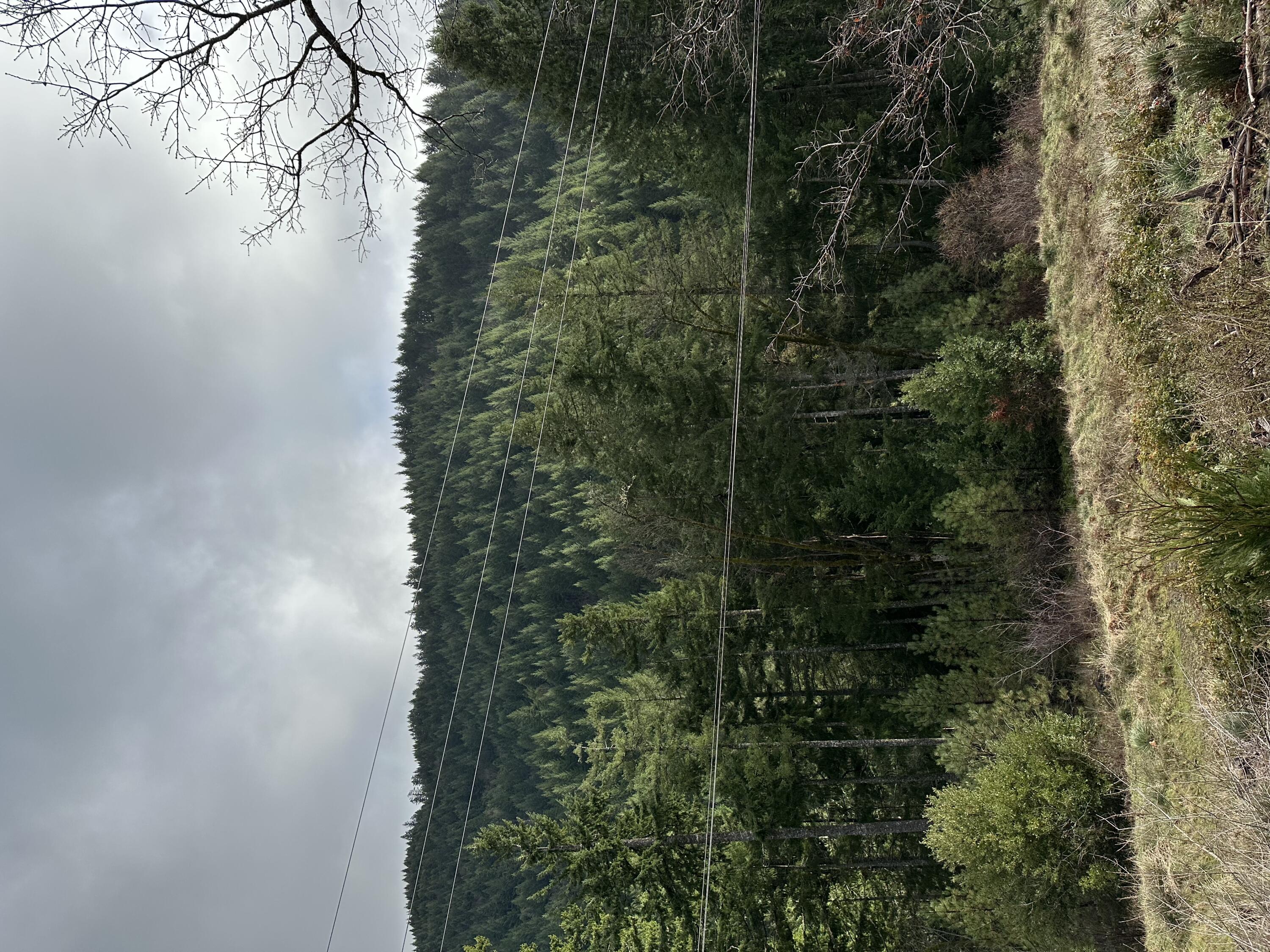 4 Hwy 299 Road Blue Lake, CA 95525 - Photo 2 of 4 From the north