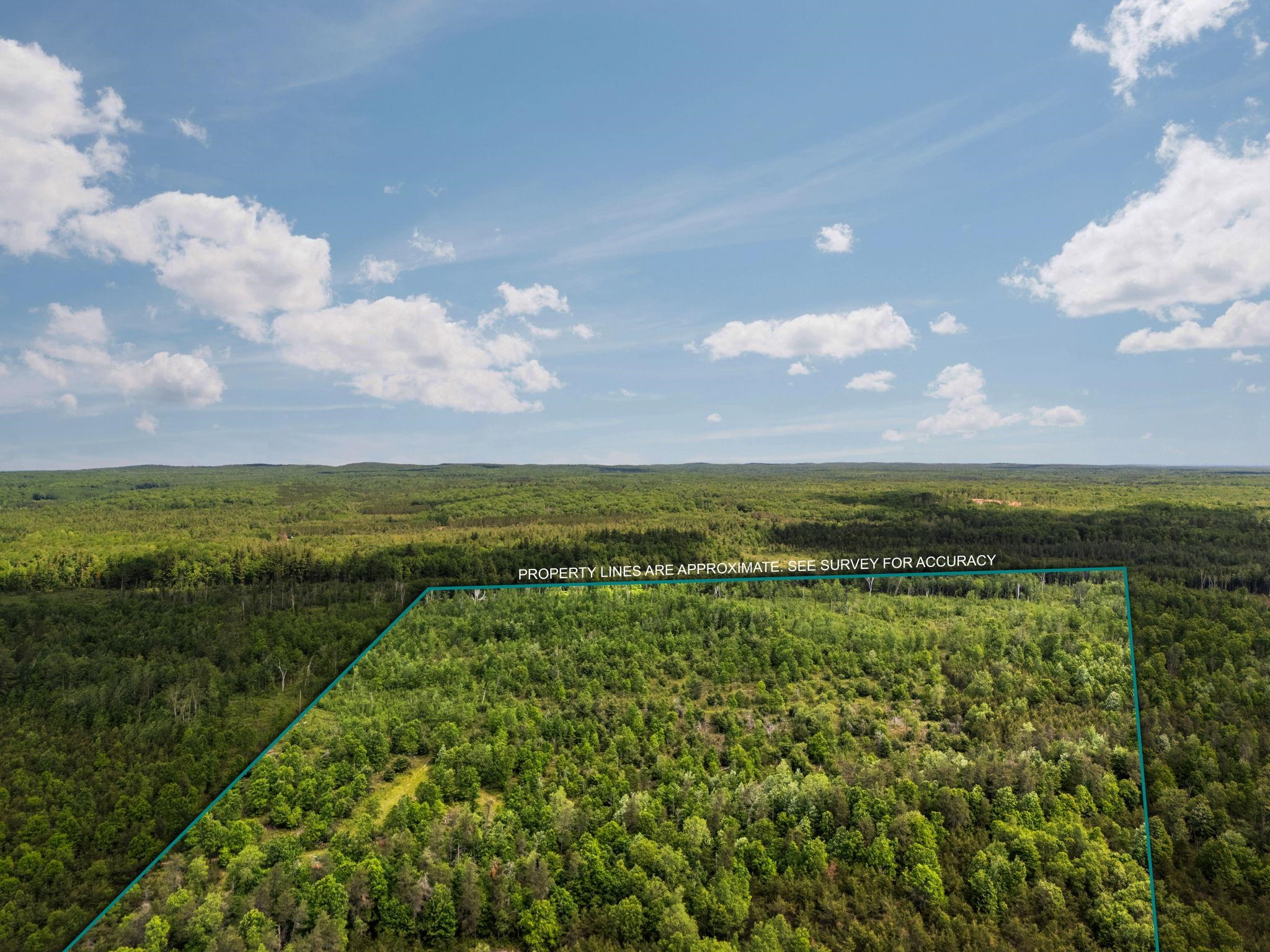 4011 West Forest Road Lake City, MI 49651 - Photo 1 of 36