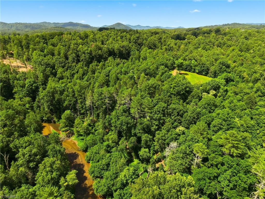 Tbd Harris Road Wilkesboro, NC 28697 - Photo 16 of 25