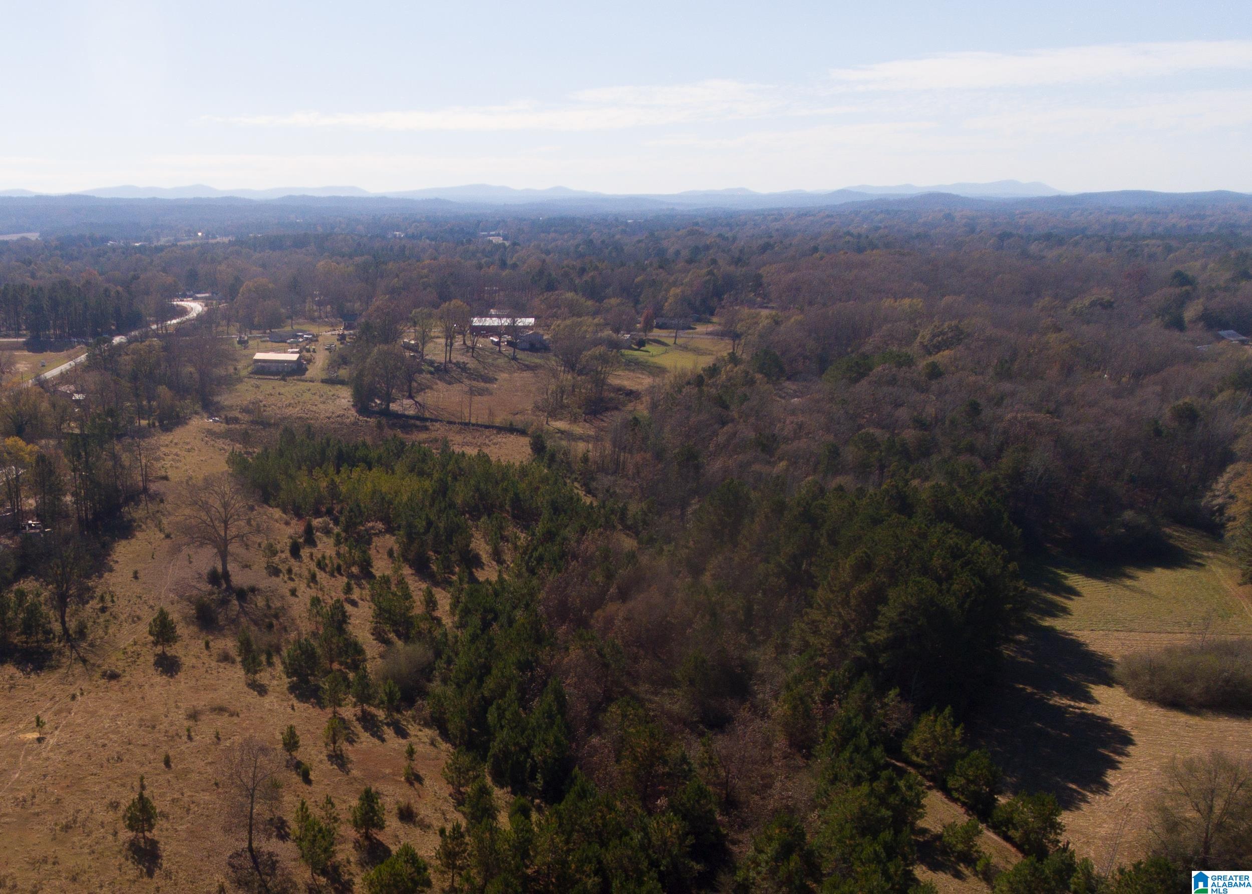 911 Granttown Road Munford, AL 36268 - Photo 49 of 50