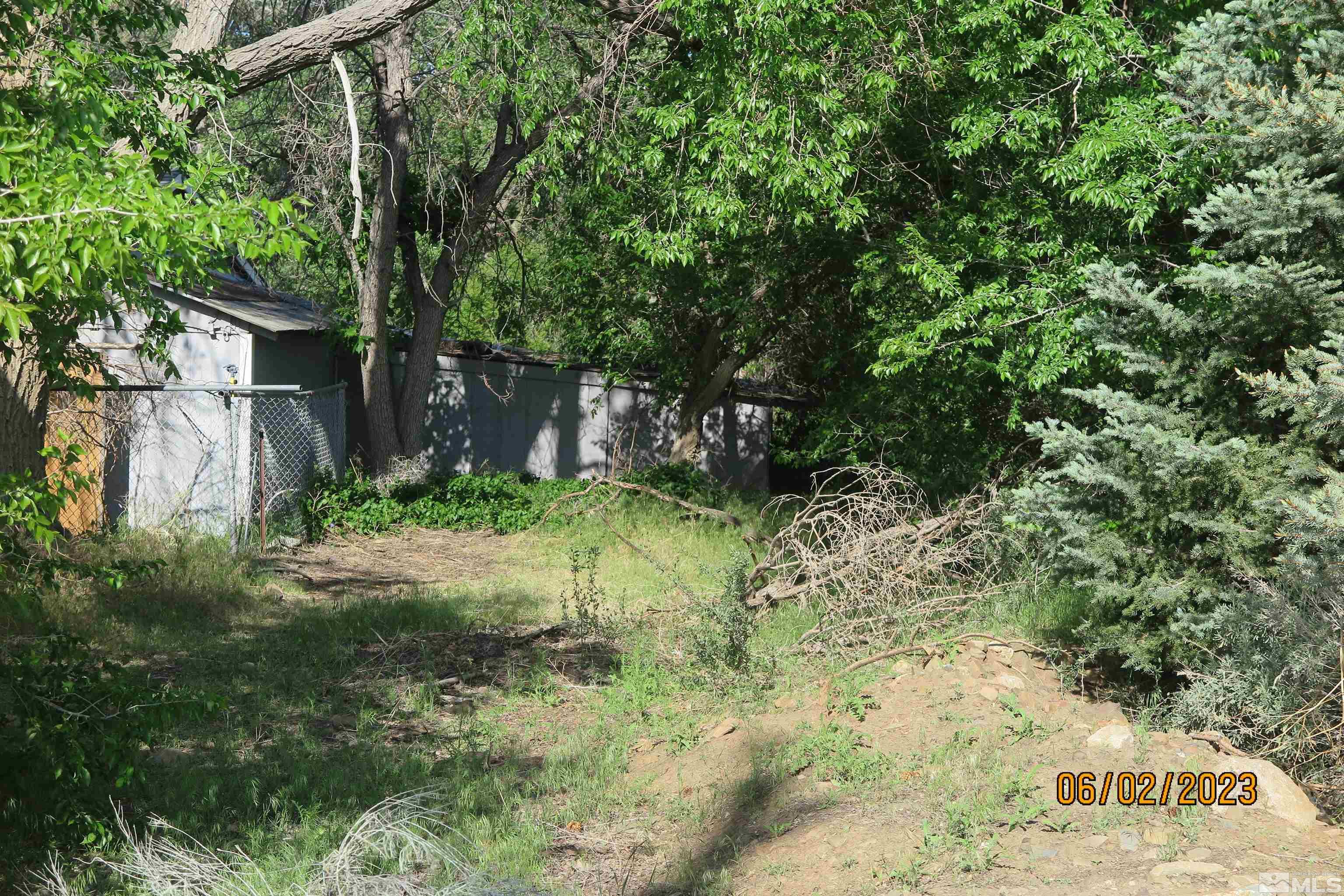 208 Rhodes Road Reno, NV 89521 - Photo 6 of 33 a view of a yard with plants and large trees