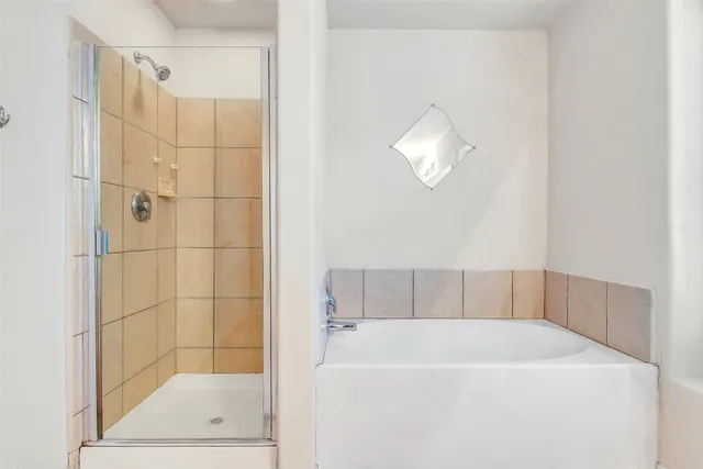 a bathroom with a bathtub and a shower