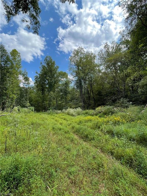 Tbd Murray Road Elkin, NC 28621 - Photo 6 of 9 Gallery Image 6