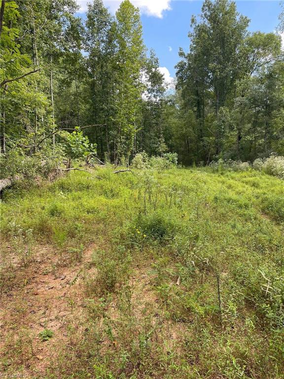Tbd Murray Road Elkin, NC 28621 - Photo 7 of 9 Gallery Image 7