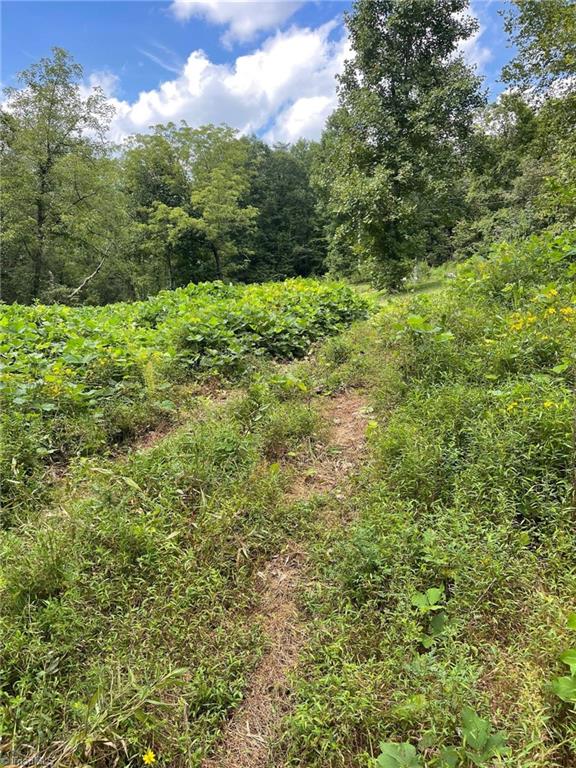 Tbd Murray Road Elkin, NC 28621 - Photo 8 of 9 Gallery Image 8