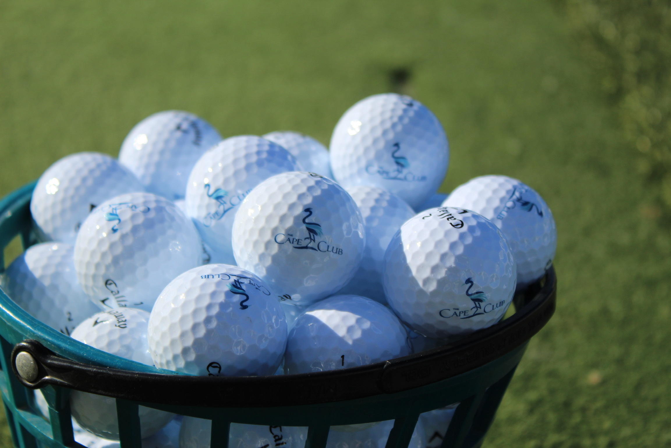 9 Cpe Clb Road East Falmouth, MA 02536 - Photo 32 of 58 Driving Range-3