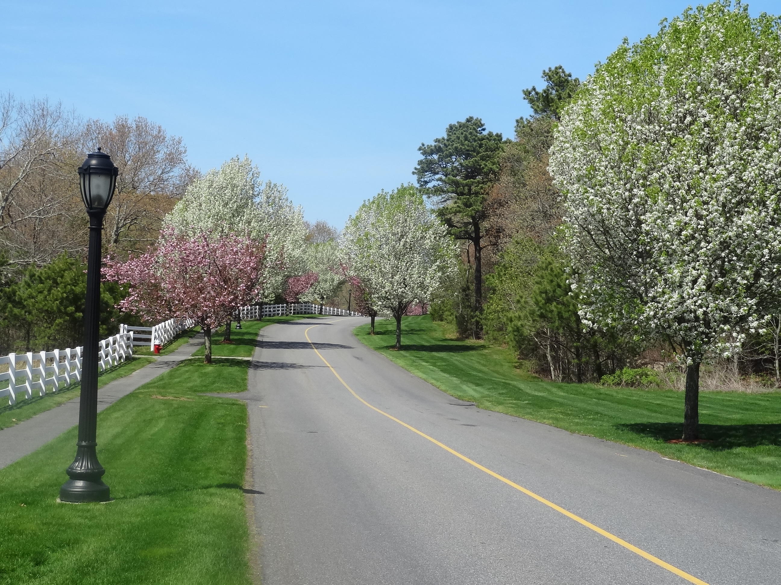 9 Cpe Clb Road East Falmouth, MA 02536 - Photo 43 of 58 a view of a street with a houses in the background
