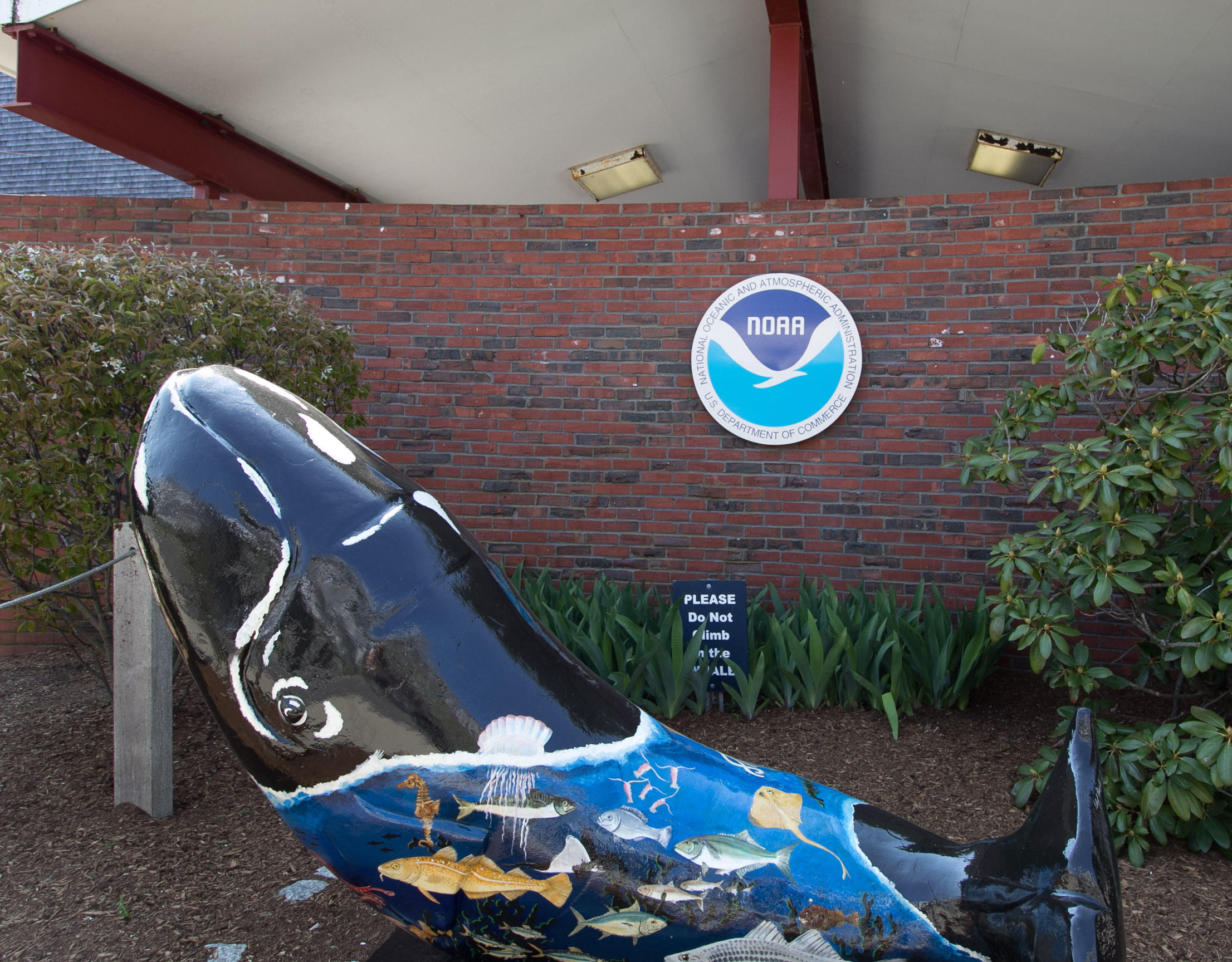 9 Cpe Clb Road East Falmouth, MA 02536 - Photo 54 of 58 Woods Hole -3