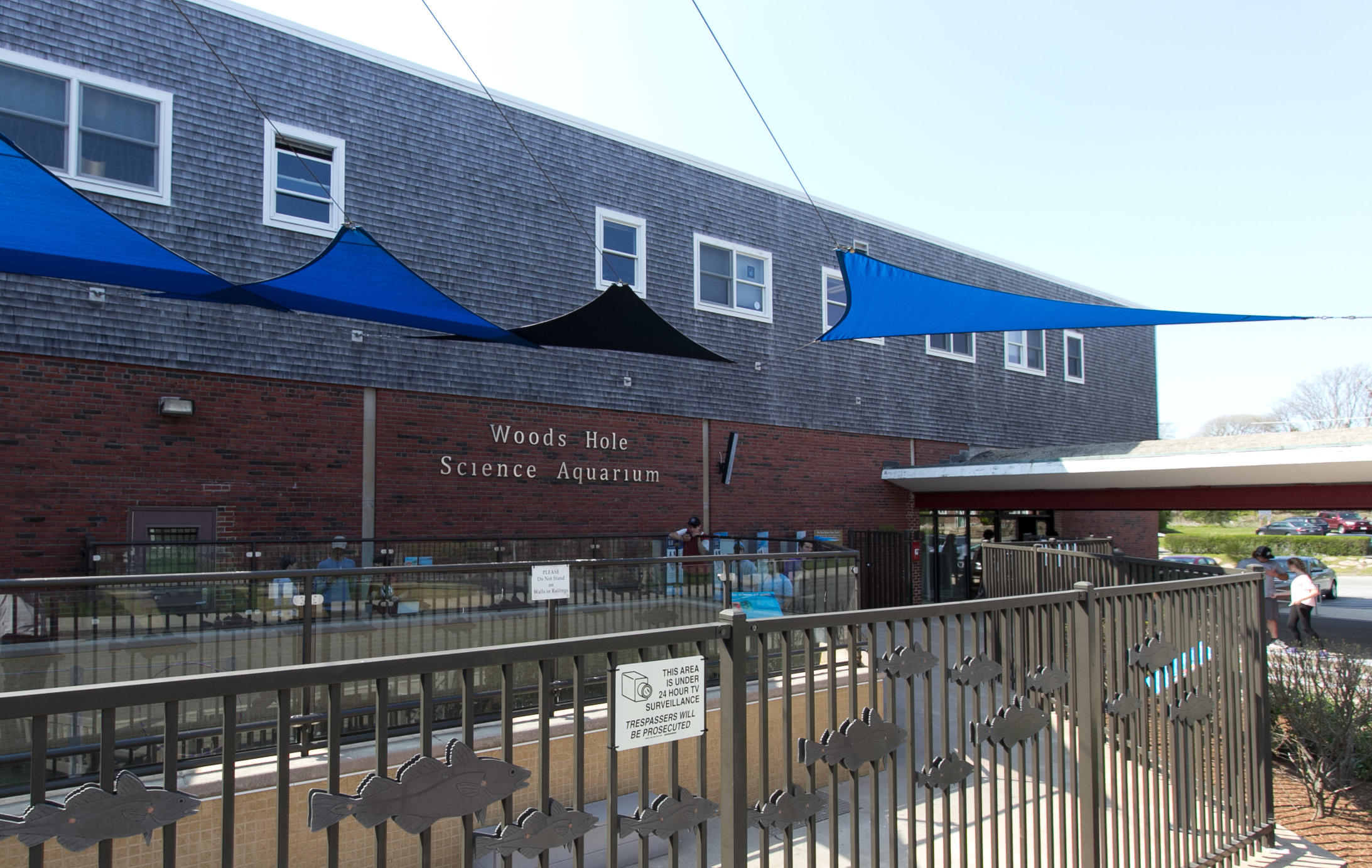 9 Cpe Clb Road East Falmouth, MA 02536 - Photo 55 of 58 Woods Hole-4