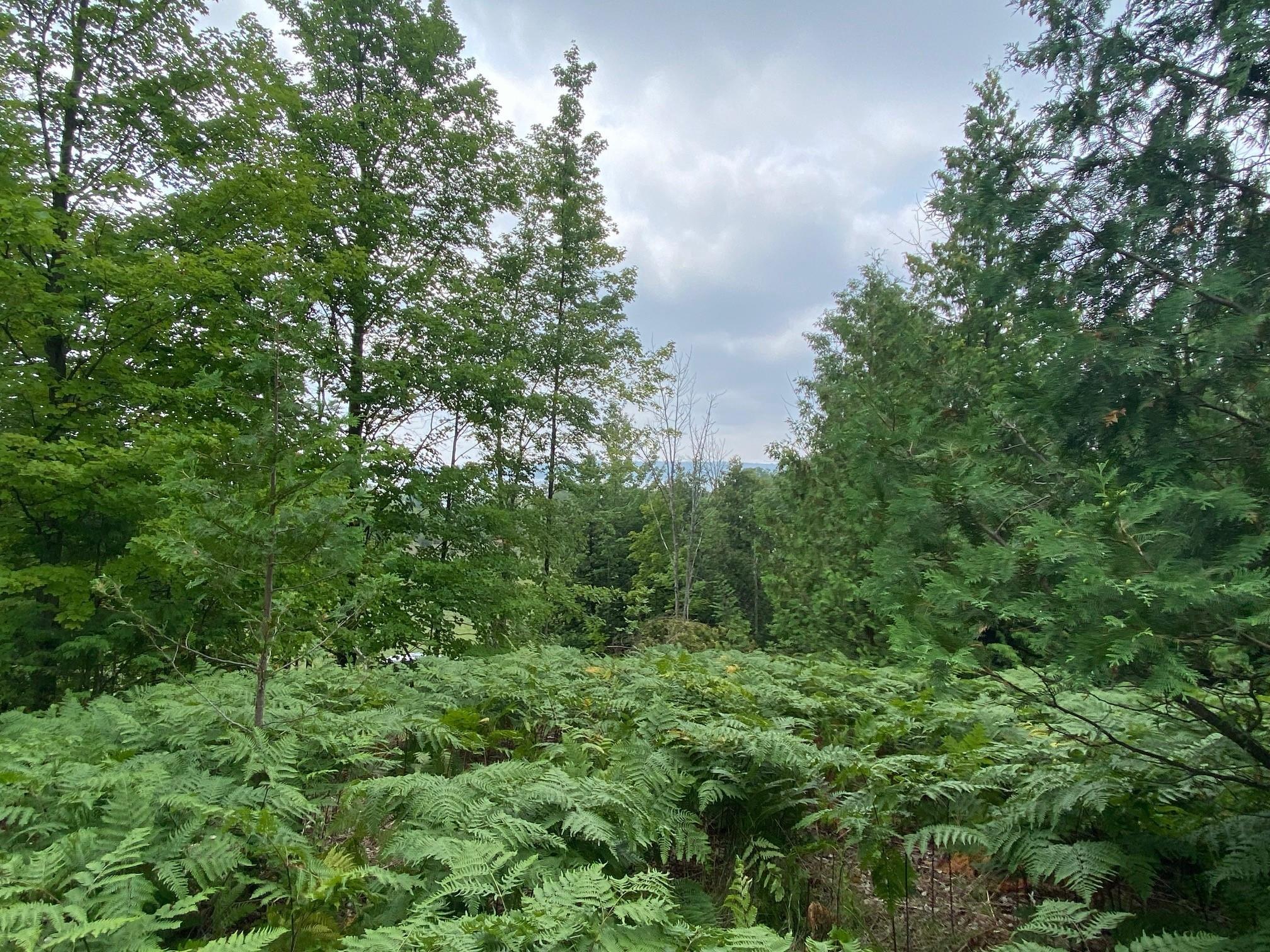 750 North Dumas Road Suttons Bay, MI 49682 - Photo 57 of 63