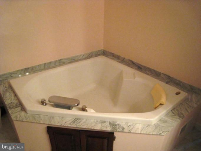 1530 Mayfield Road Edgewater, MD 21037 - Photo 10 of 19 Master Bath #2