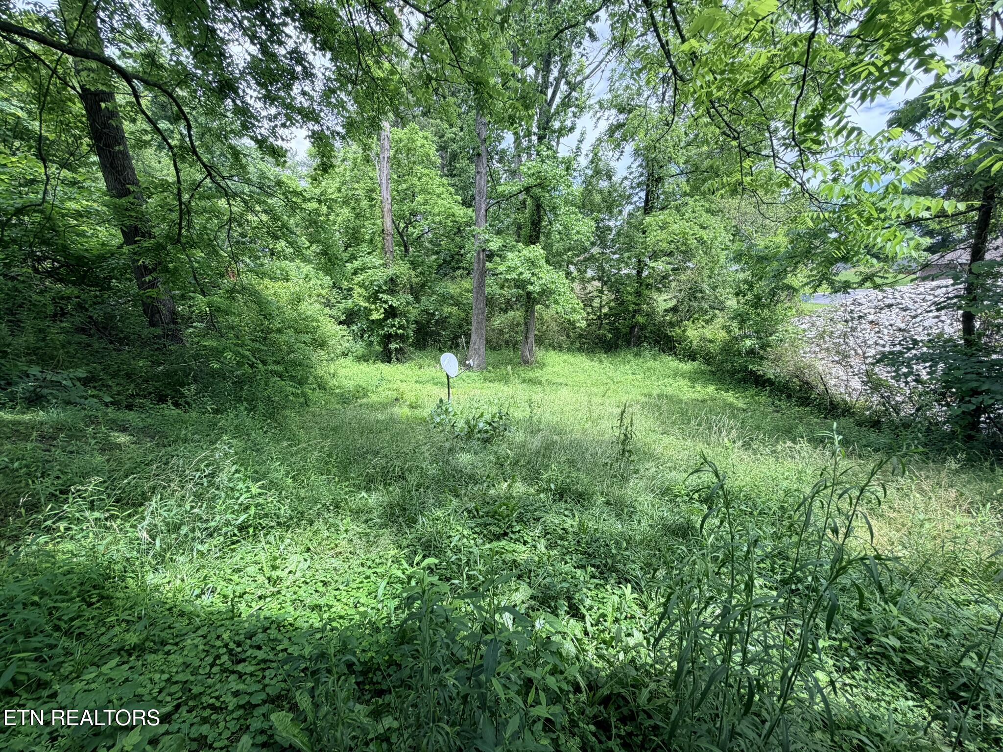 18700 Alberta Street Oneida, TN 37841 - Photo 10 of 33 IMG_7758