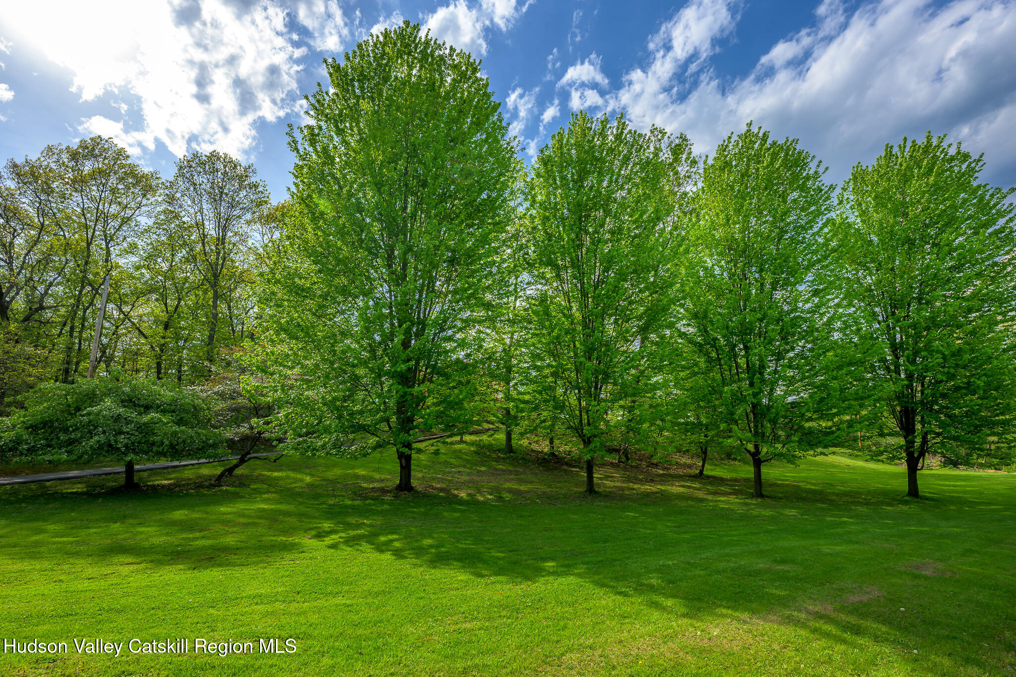 29 Edgemere Hill Road Catskill, NY 12414 - Photo 35 of 38 a view of a trees with a yard