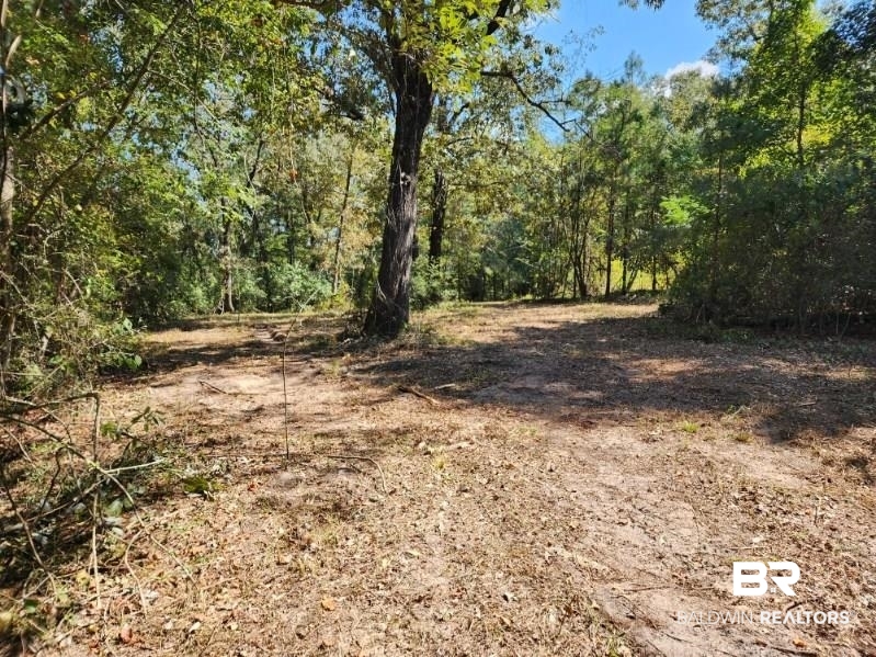 5560 Travis Road Brewton, AL 36426 - Photo 2 of 12