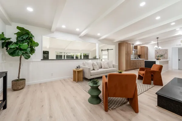 a living room with furniture and a potted plant