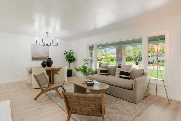 a living room with furniture potted plant and a large window