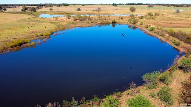 a view of an ocean and beach