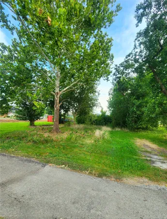 a view of a park with large trees