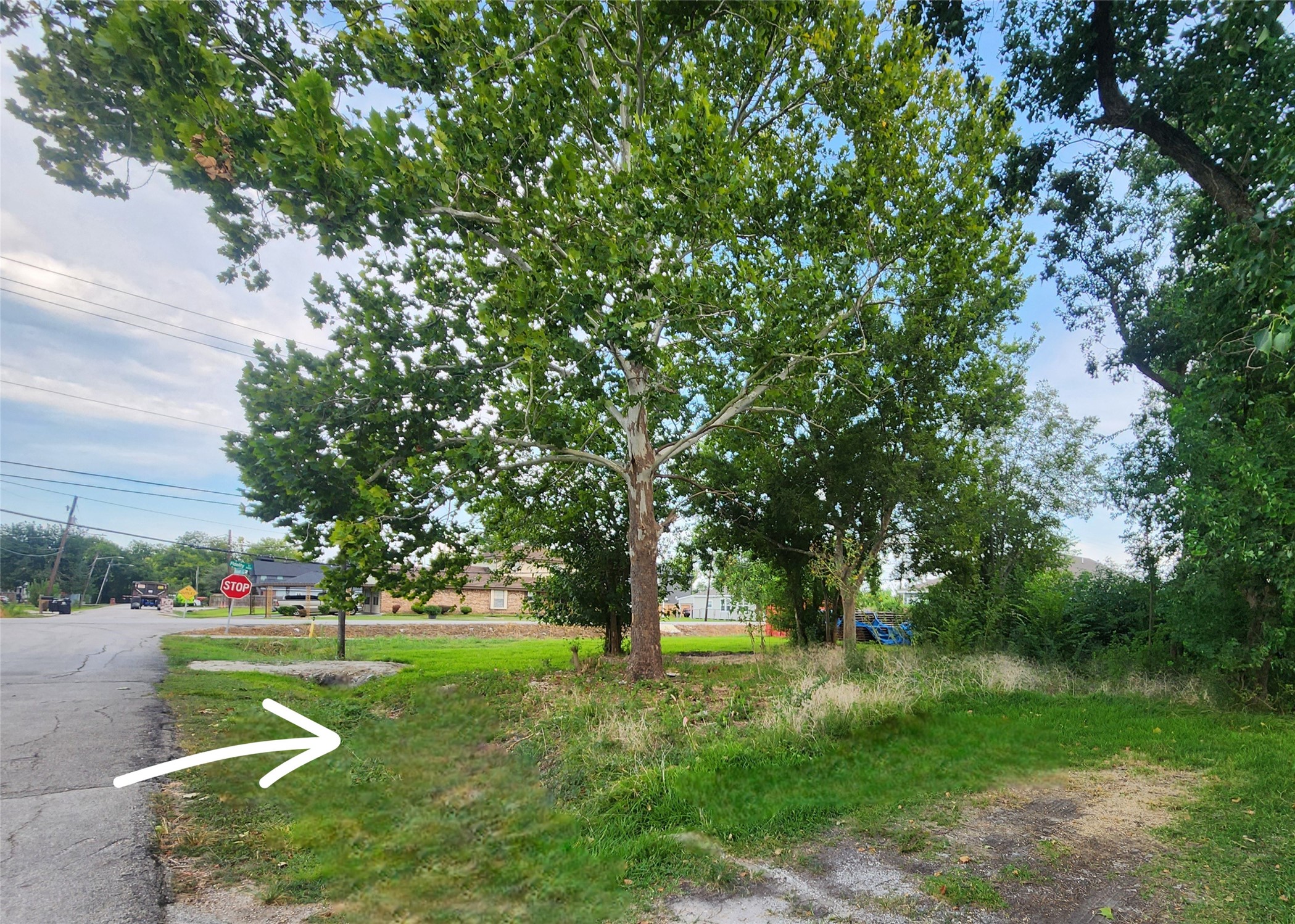 9720 Bucroft Street Houston, TX 77029 - Photo 4 of 12 a view of a park that has large trees