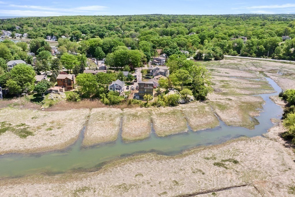 10 Chestnut Place Hingham, MA 02043 - Photo 39 of 41 a view of a garden with a pathway