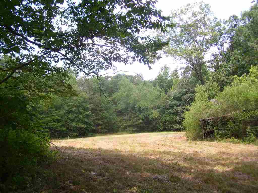 344 Allgood Bridge Road Pickens, SC 29671 - Photo 11 of 29