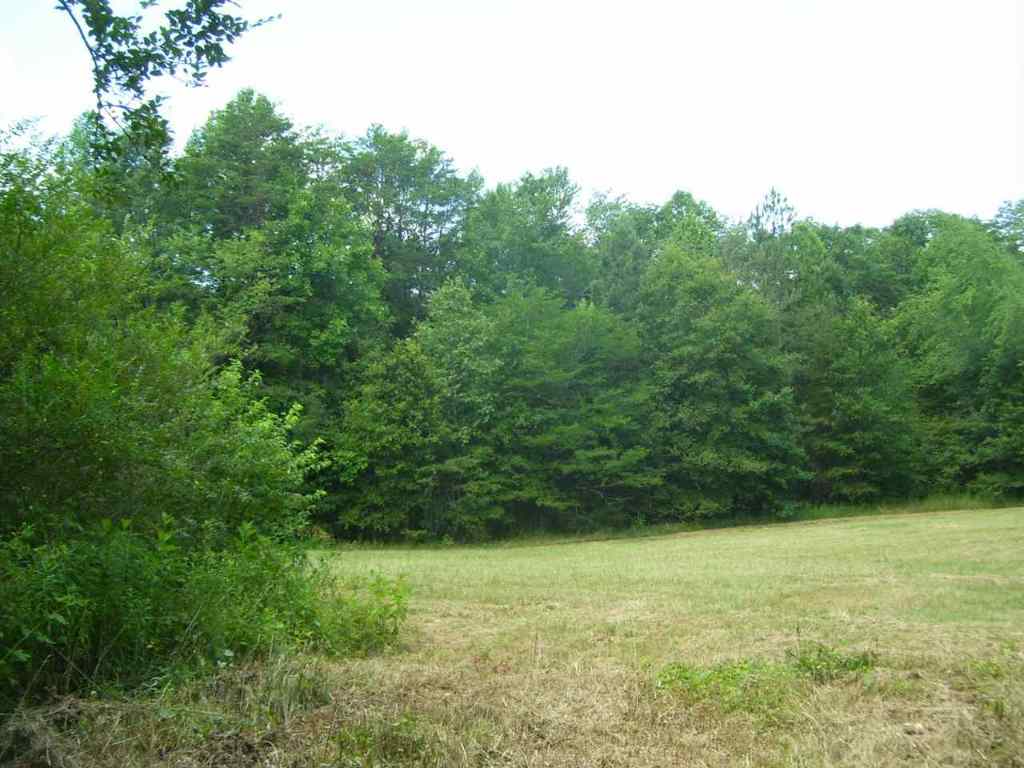 344 Allgood Bridge Road Pickens, SC 29671 - Photo 12 of 29