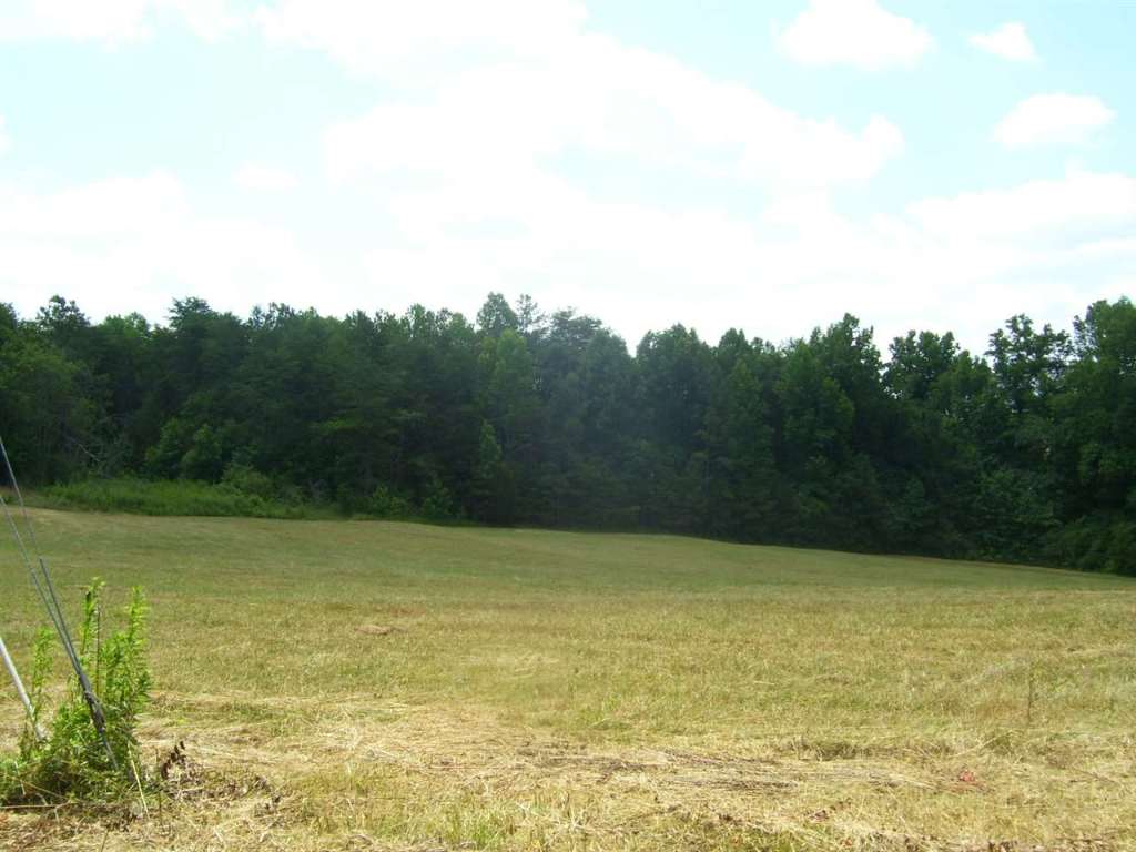 344 Allgood Bridge Road Pickens, SC 29671 - Photo 13 of 29