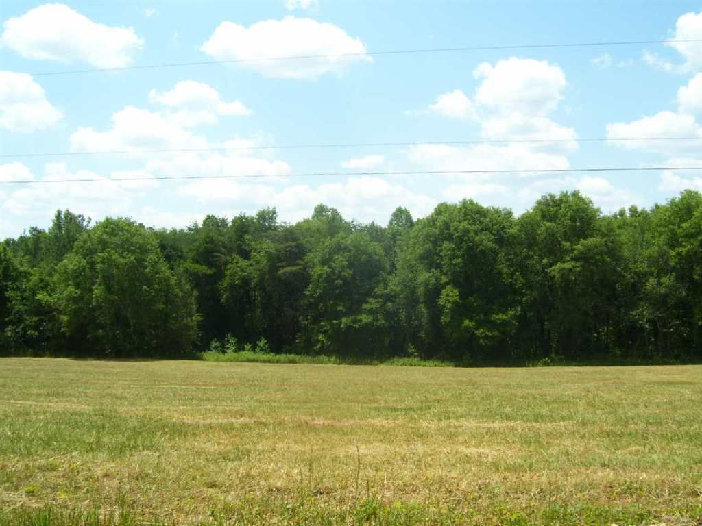 344 Allgood Bridge Road Pickens, SC 29671 - Photo 14 of 29