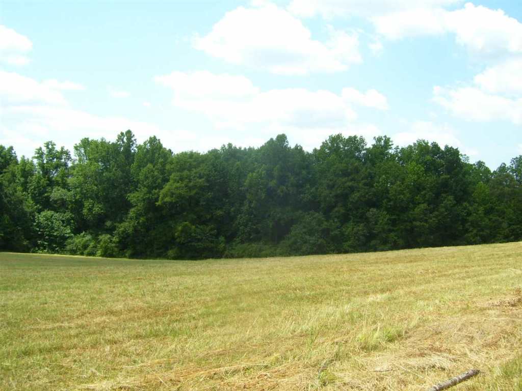 344 Allgood Bridge Road Pickens, SC 29671 - Photo 15 of 29