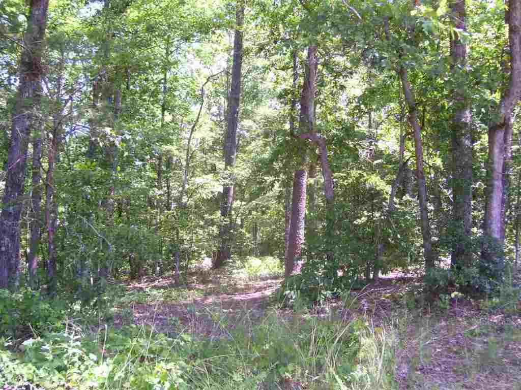 344 Allgood Bridge Road Pickens, SC 29671 - Photo 17 of 29