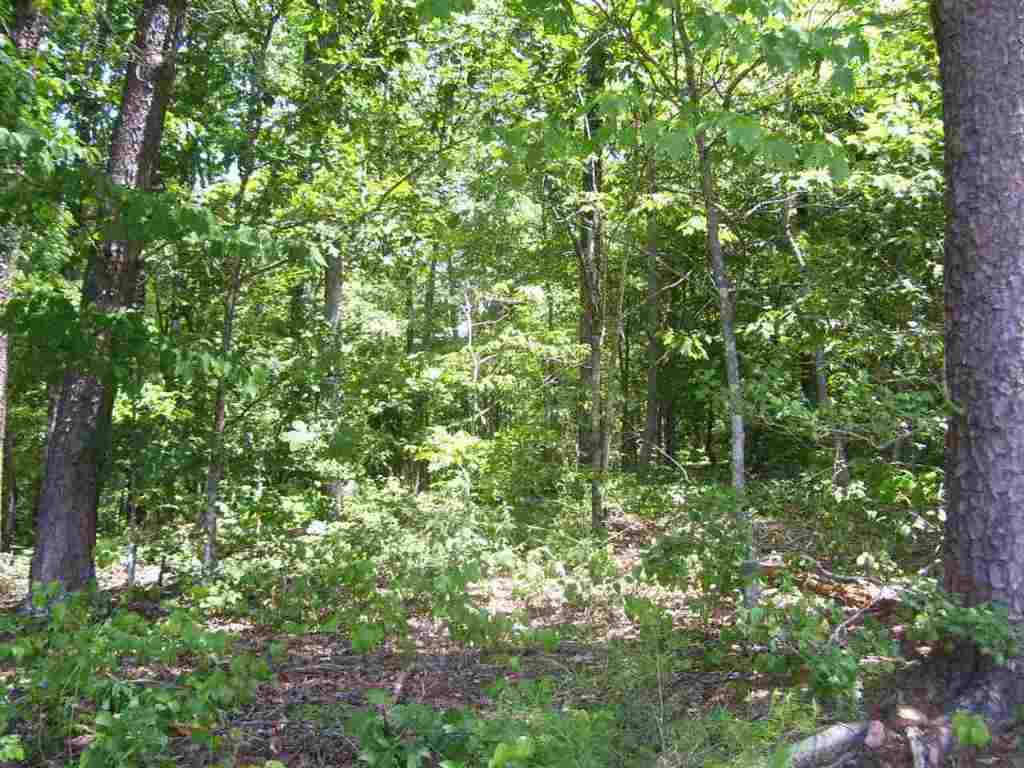 344 Allgood Bridge Road Pickens, SC 29671 - Photo 19 of 29
