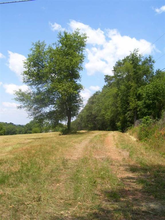 344 Allgood Bridge Road Pickens, SC 29671 - Photo 29 of 29