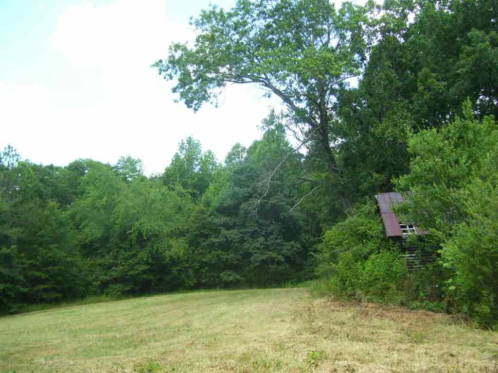 344 Allgood Bridge Road Pickens, SC 29671 - Photo 3 of 29