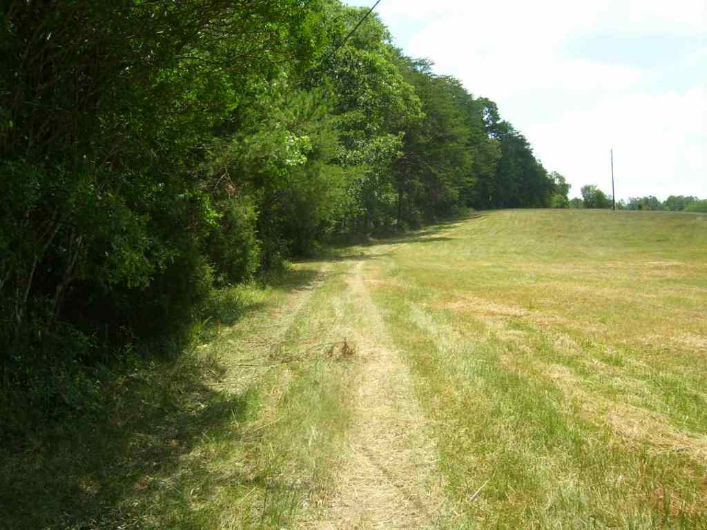 344 Allgood Bridge Road Pickens, SC 29671 - Photo 4 of 29