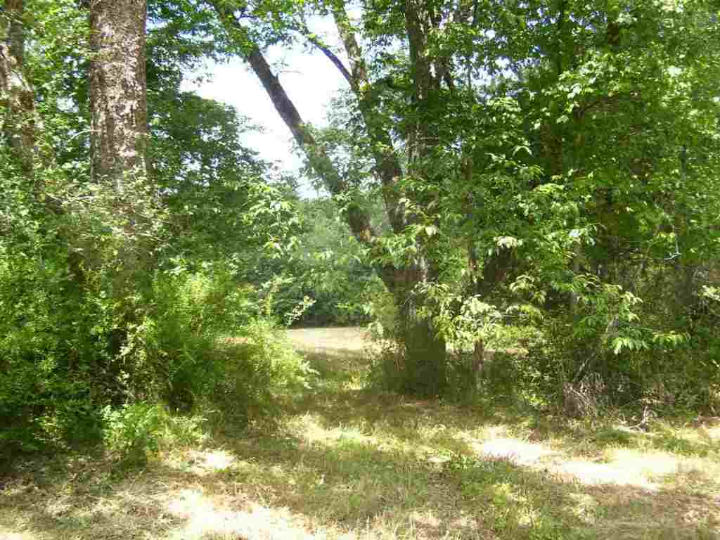 344 Allgood Bridge Road Pickens, SC 29671 - Photo 5 of 29