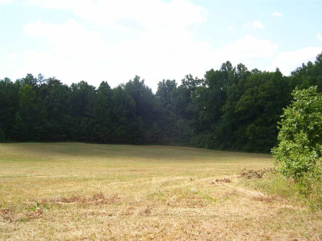 344 Allgood Bridge Road Pickens, SC 29671 - Photo 6 of 29