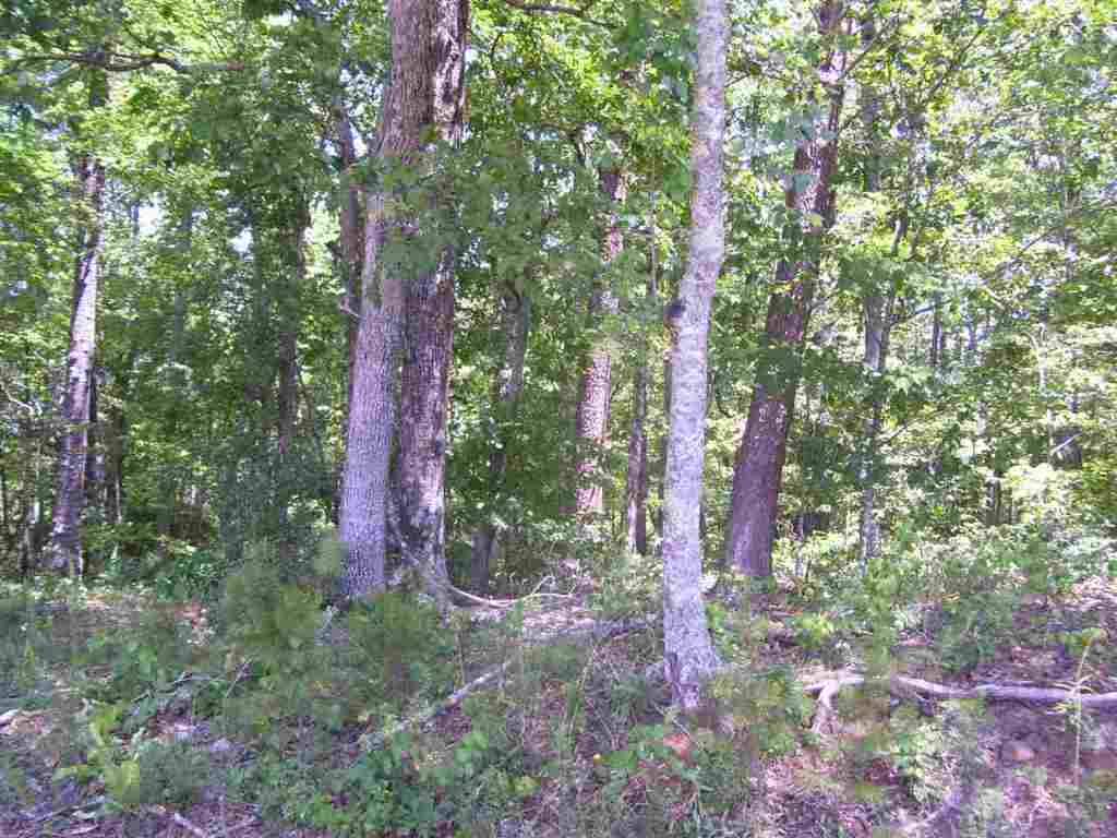 344 Allgood Bridge Road Pickens, SC 29671 - Photo 9 of 29