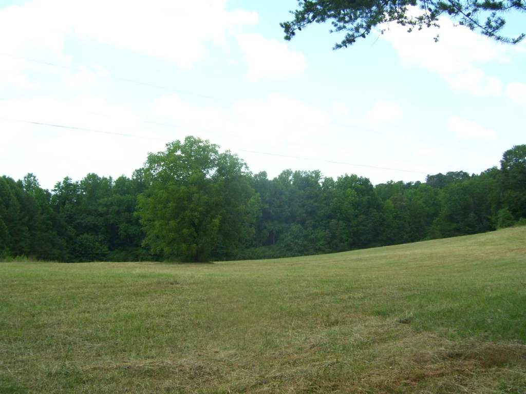 344 Allgood Bridge Road Pickens, SC 29671 - Photo 10 of 29