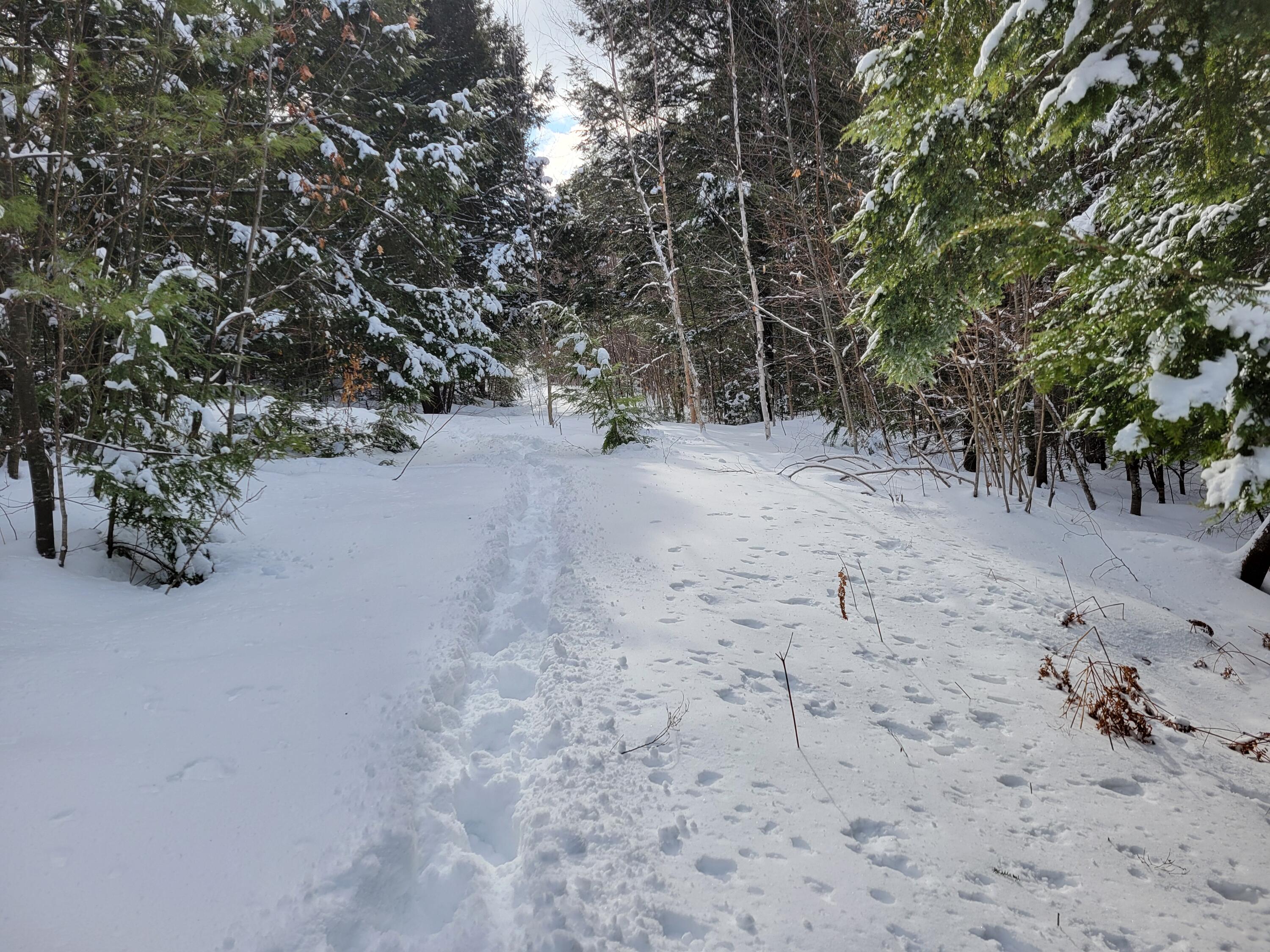 1 Songo Pond Road Bethel, ME 04217 - Photo 6 of 8 20250207_122613