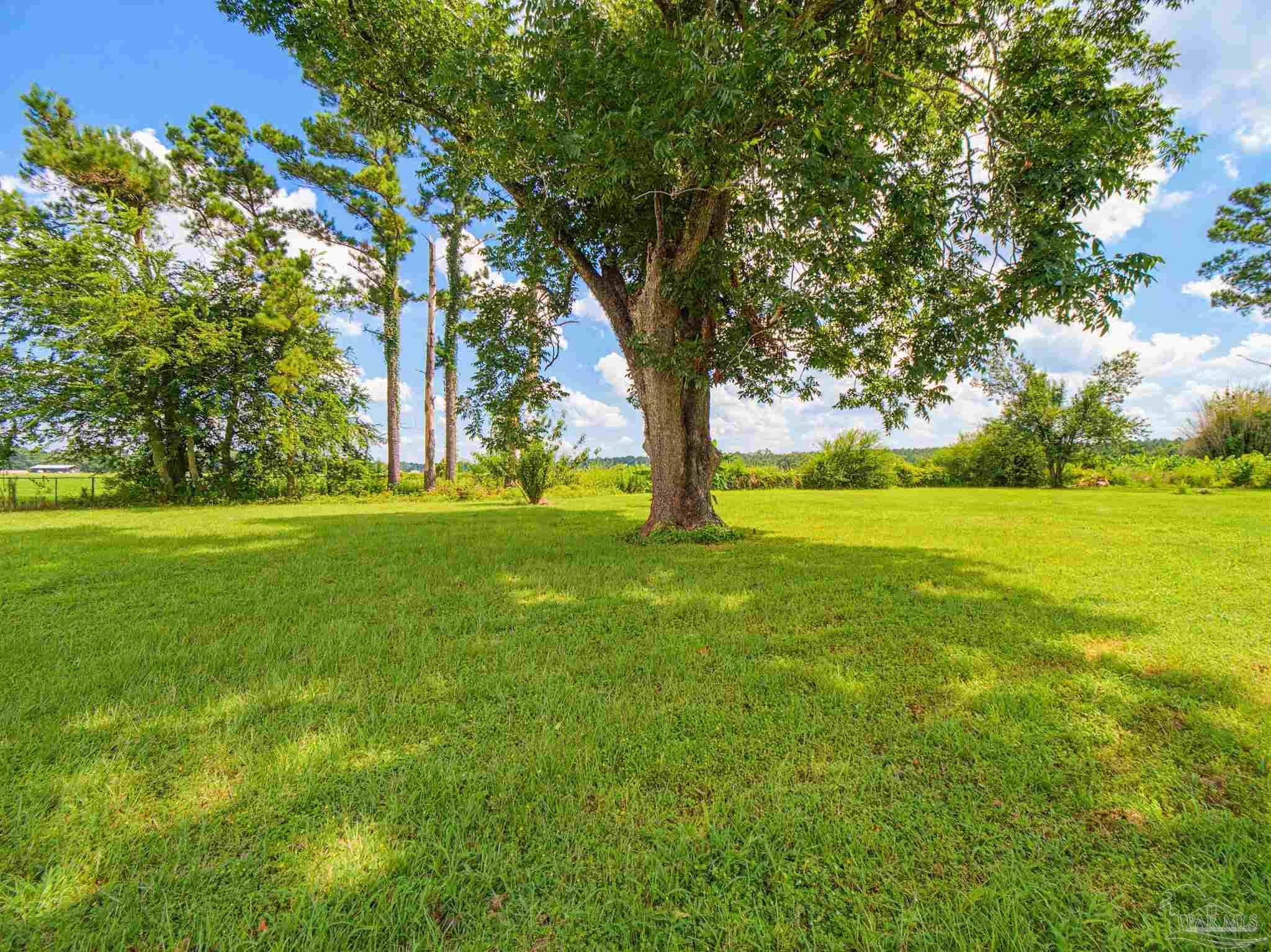 5816 Hall Road Jay, FL 32565 - Photo 63 of 66