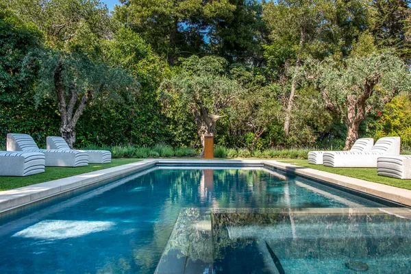 a view of swimming pool with a lounge chair
