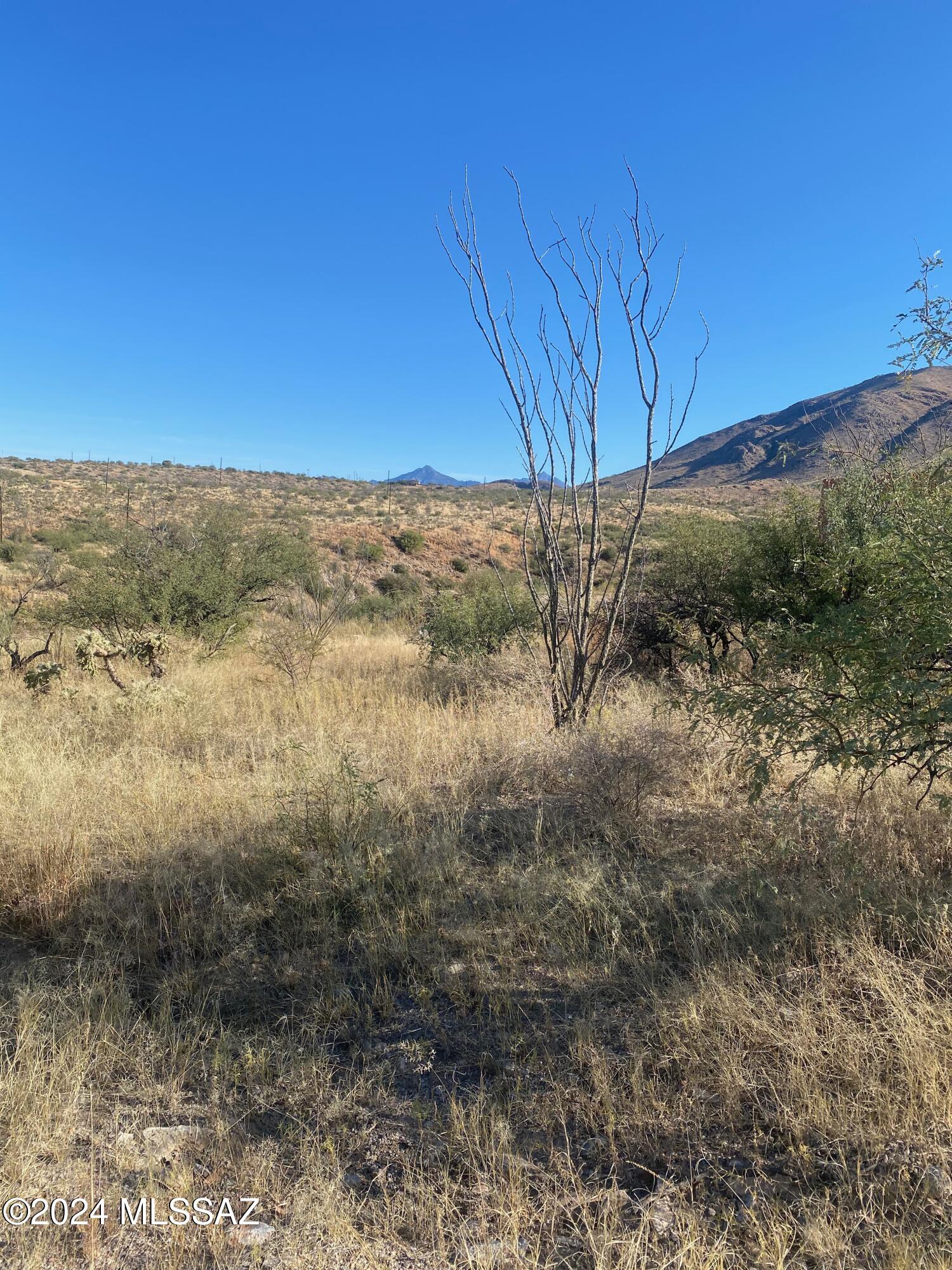 1678 Ave Calamar, Unit 112 Rio Rico, AZ 85648 - Photo 10 of 11